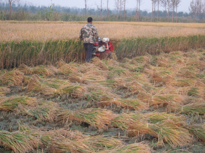 收割打捆機保養事項簡介 收割打捆機保養事項簡介