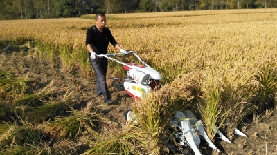 水稻割捆機常見故障及解決方法 水稻割捆機常見故障及解決方法